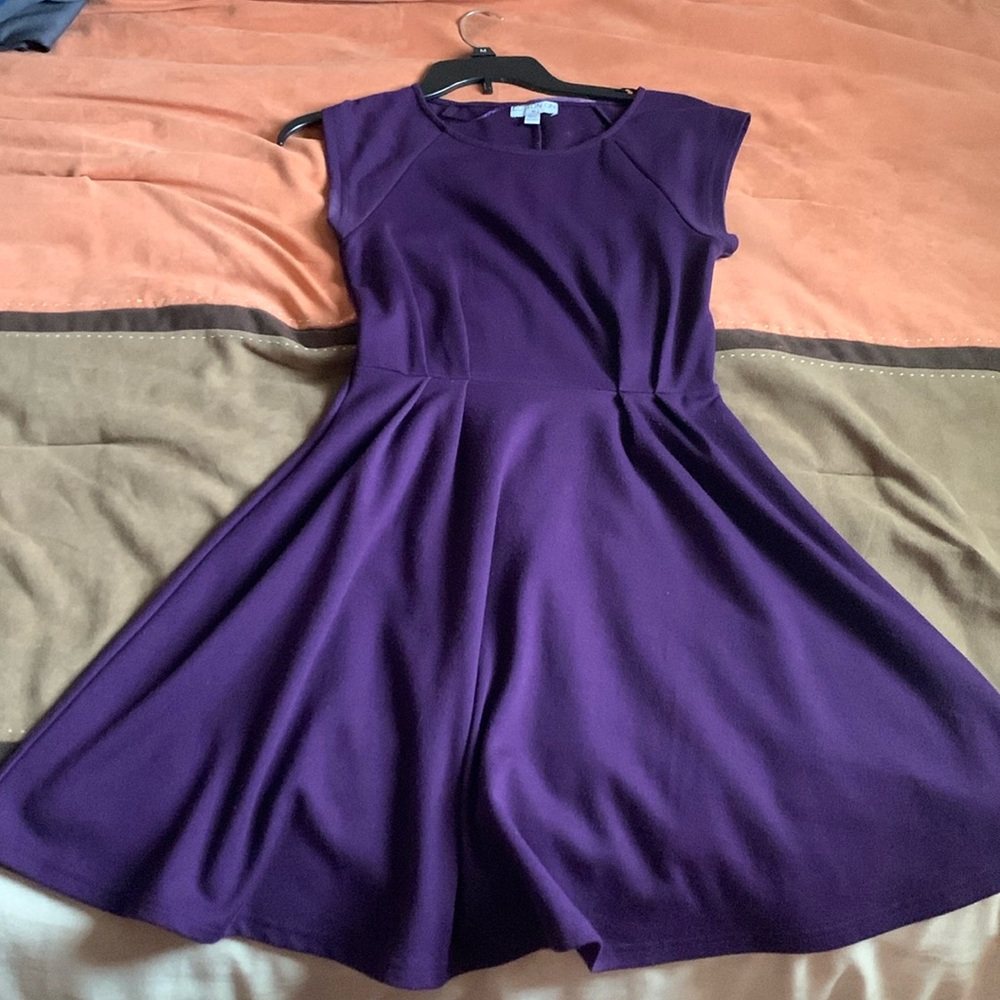 Minimally worn Solid purple fit and flare dress